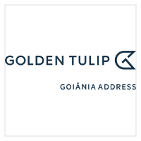 goldtulipgoiana_20220825_clubedevantangens